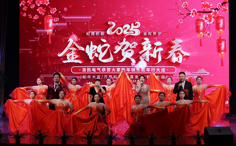 Rolink Chinese New Year Gala (2025)